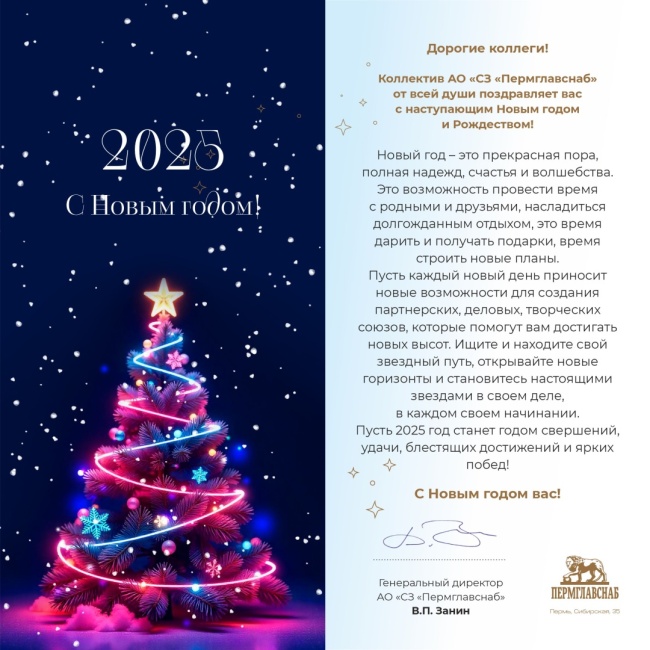 С Новым 2025 годом!